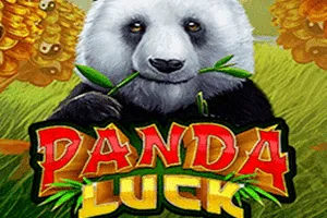Panda Luck - MG138