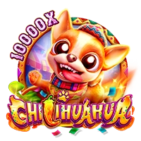 Facai : CHILIHUAHUA - MG138