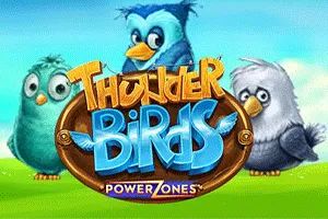 Power Zones: Thunder Birds - MG138