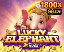 Lucky Elephant X-Huge - MG138
