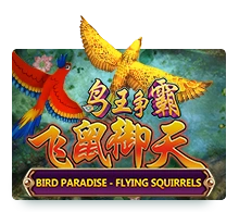 Bird Paradise - MG138