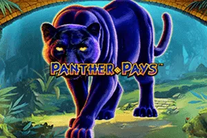 Panther Pays - MG138