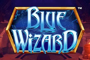 Blue Wizard - MG138