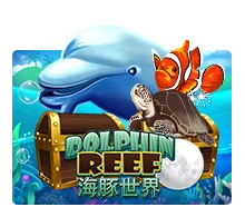 Joker123 : Dolphin Reef - MG138