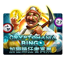 Crypto Mania Bingo - MG138