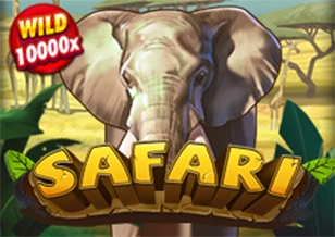 Safari - MG138
