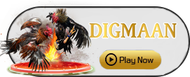 Digman - MG138